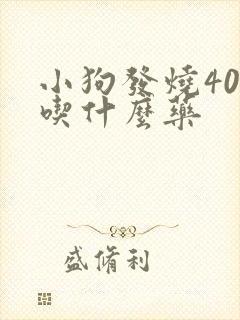 小狗发烧40度吃什么药