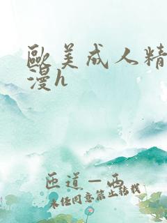 欧美成人精品动漫h