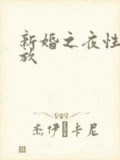 新婚之夜性史播放