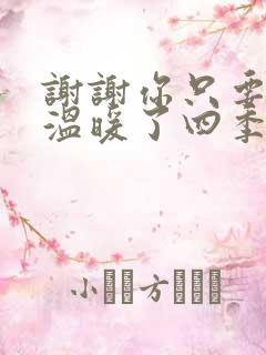 谢谢你只要有你温暖了四季是什么歌