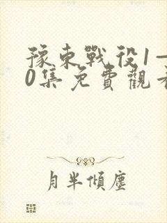 豫东战役1—40集免费观看