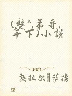 (双*,弟哥,年下)小说