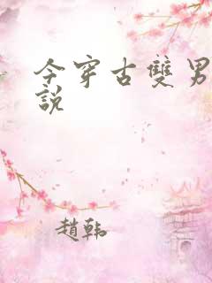 今穿古双男主小说