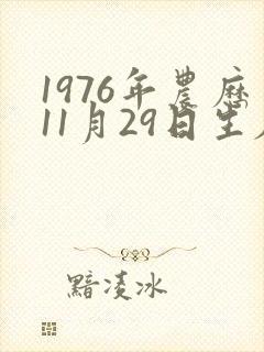 1976年农历11月29日生辰八字