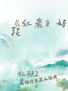 《红岩》好句好段