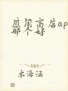 应用商店app哪个好