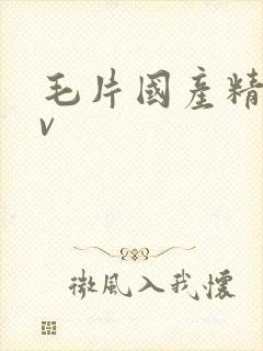 毛片国产精品av
