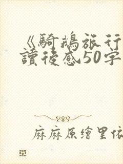《骑鹅旅行记》读后感50字