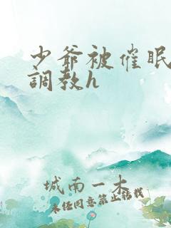 少爷被催眠玩弄调教h