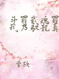 斗罗武魂罗三炮我乃驭龙真君