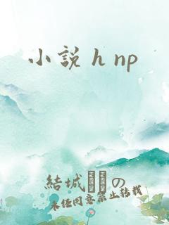 小说 h np