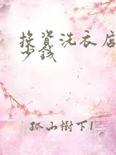 投资洗衣店得多少钱