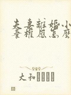 夫妻离婚小孩抚养权应怎么判