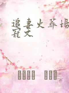 追妻火葬场的甜宠文