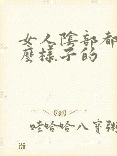 女人阴部都有什么样子的