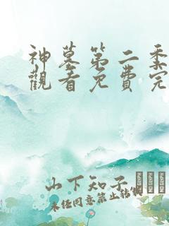 神墓第二季在线观看免费完整版高清