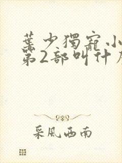 叶少独宠小娇妻第2部叫什么