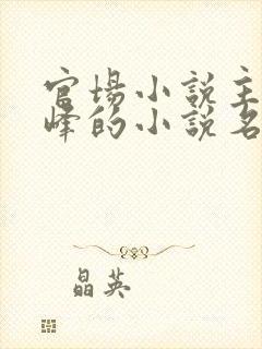 官场小说主角秦峰的小说名字