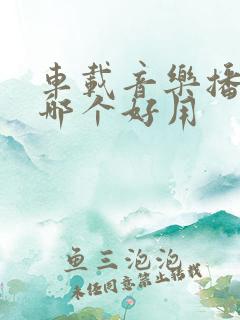 车载音乐播放器哪个好用