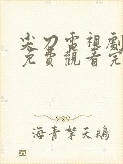 尖刀电视剧全集免费观看完整版