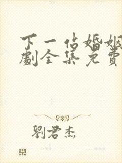 下一站婚姻电视剧全集免费