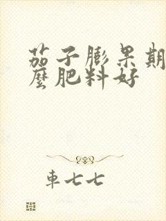 茄子膨果期用什么肥料好