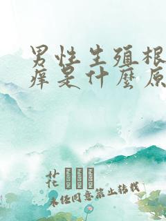 男性生殖根部瘙痒是什么原因引起的