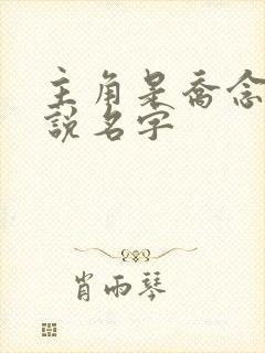 主角是乔念的小说名字