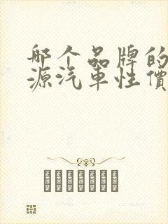 哪个品牌的新能源汽车性价比高