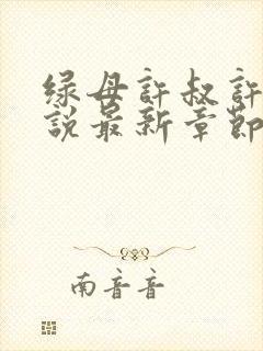 绿母许叔许静小说最新章节更新时间