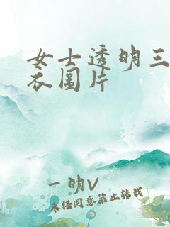 女士透明三角泳衣图片