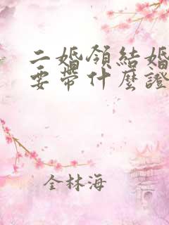 二婚领结婚证需要带什么证件