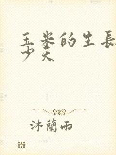 玉米的生长期多少天