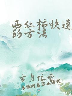 西红柿快速膨大的方法
