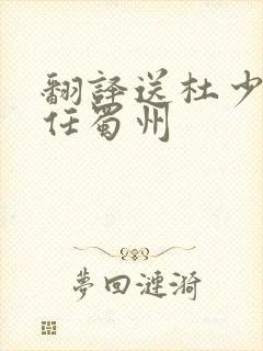 翻译送杜少府之任蜀州