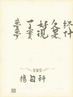 梦了好久终于把梦实现是什么歌