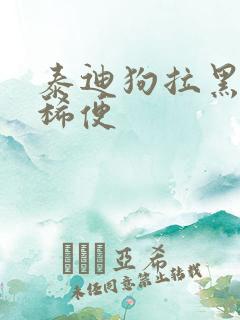 泰迪狗拉黑色的稀便