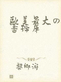 欧美最大のav番号库
