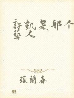 许凯是那个公司艺人