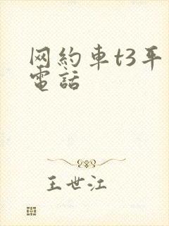 网约车t3平台电话