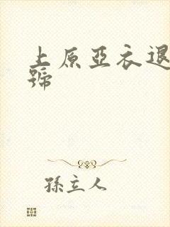 上原亚衣退役番号