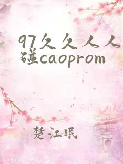 97久久人人超碰caoprom