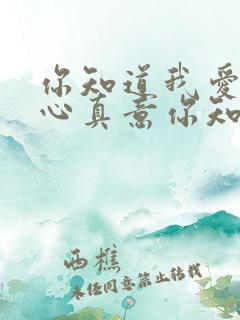 你知道我爱你真心真意你知道我永远都不放弃