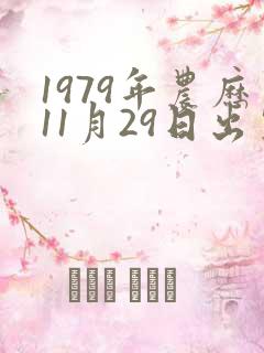 1979年农历11月29日出生命运
