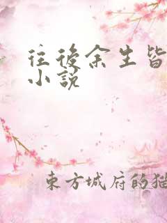 往后余生皆是你小说