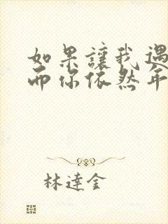 如果让我遇见你而你依然年轻歌词 如果让我遇见你而你依然年轻歌词