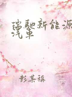 瑞驰新能源电动汽车