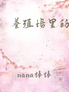养殖场里的鸡