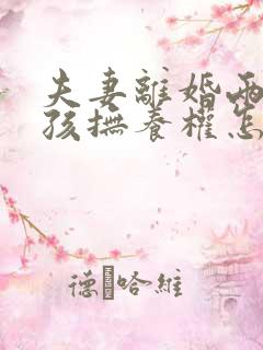 夫妻离婚两个小孩抚养权怎么判