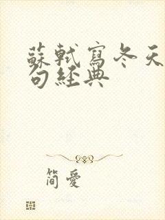苏轼写冬天的诗句经典